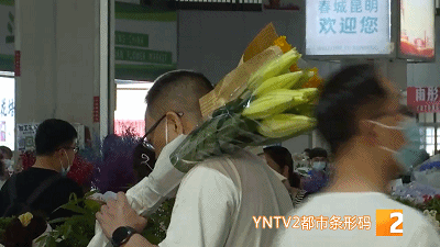 春城晚报