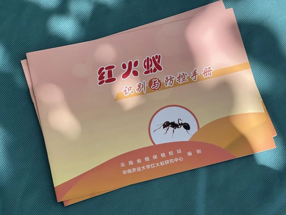 呈贡发布