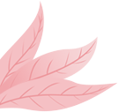 东川发布(微信)
