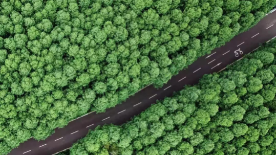 一部手机游云南