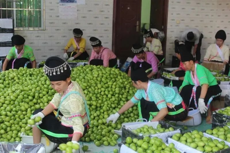 云南省文化和旅游厅