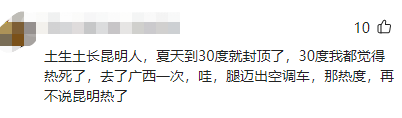 掌上春城