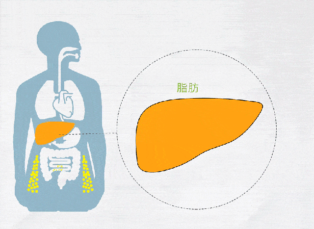 健康腾冲