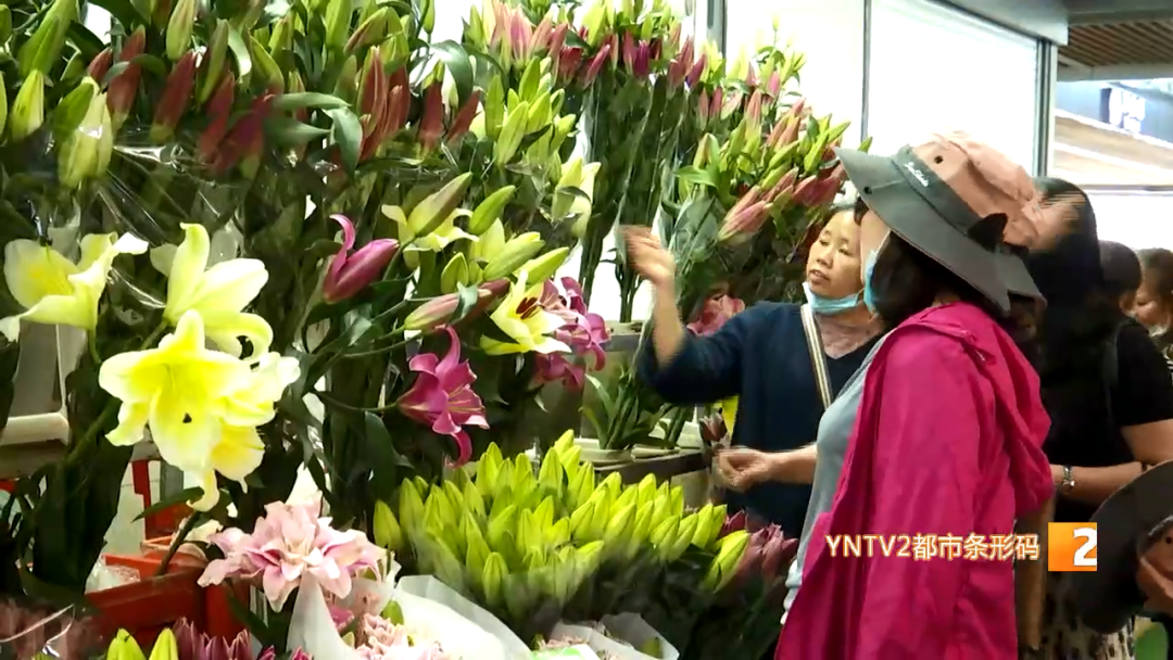 昆明信息港/cnkmxxg