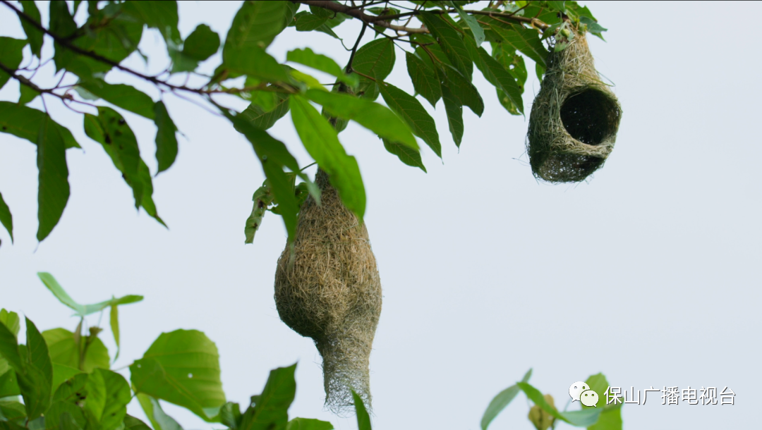 保山广播电视台