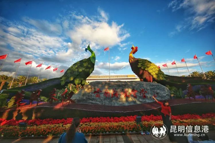 昆明信息港/cnkmxxg