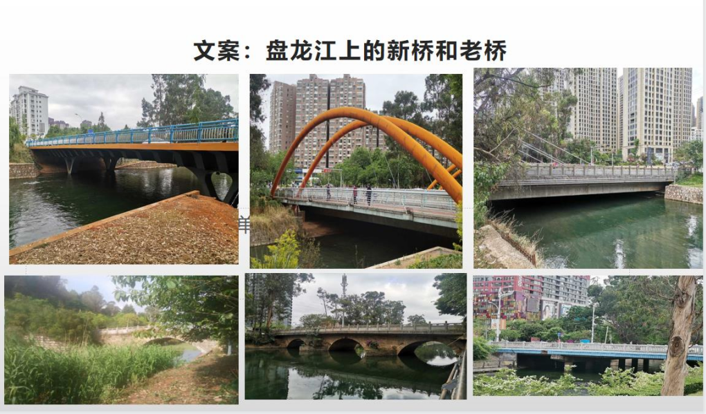 微观盘龙