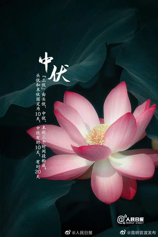 “昆明官渡发布”微博