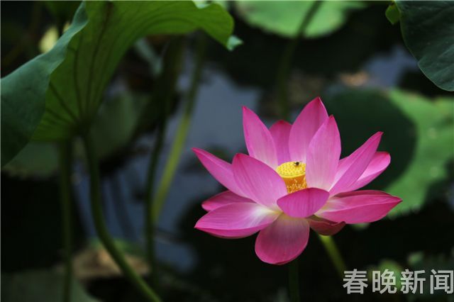 云南省文化和旅游厅