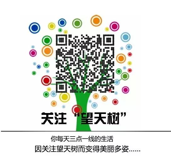 西双版纳望天树景区