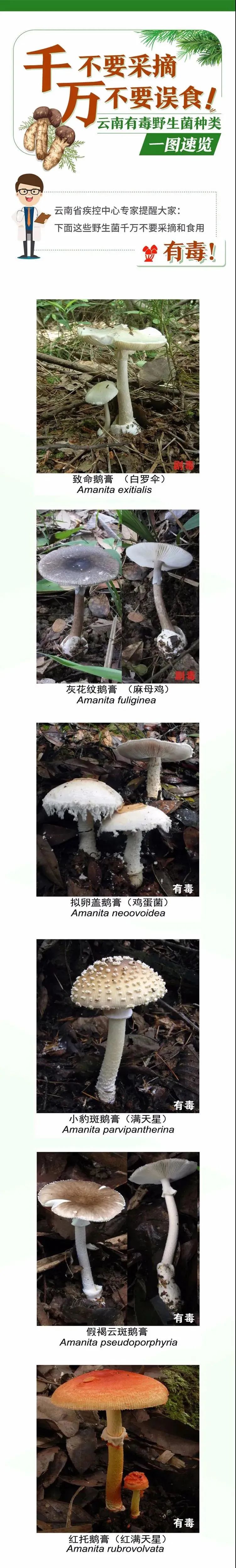 石林县人民检察院