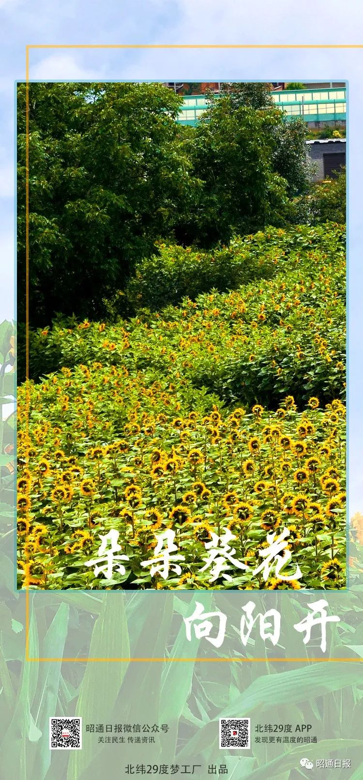 昭通日报