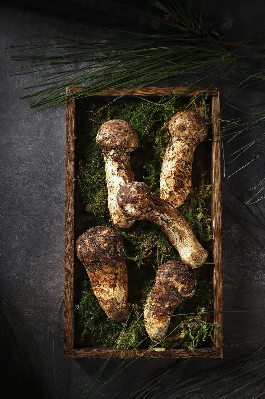 一部手机游云南