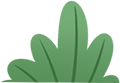 盘龙教育(微信)