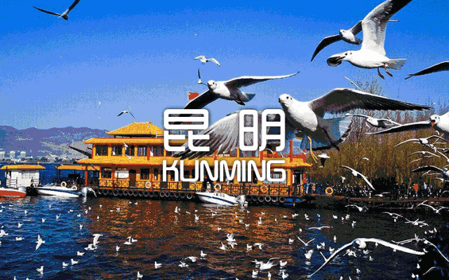 昆明信息港/cnkmxxg