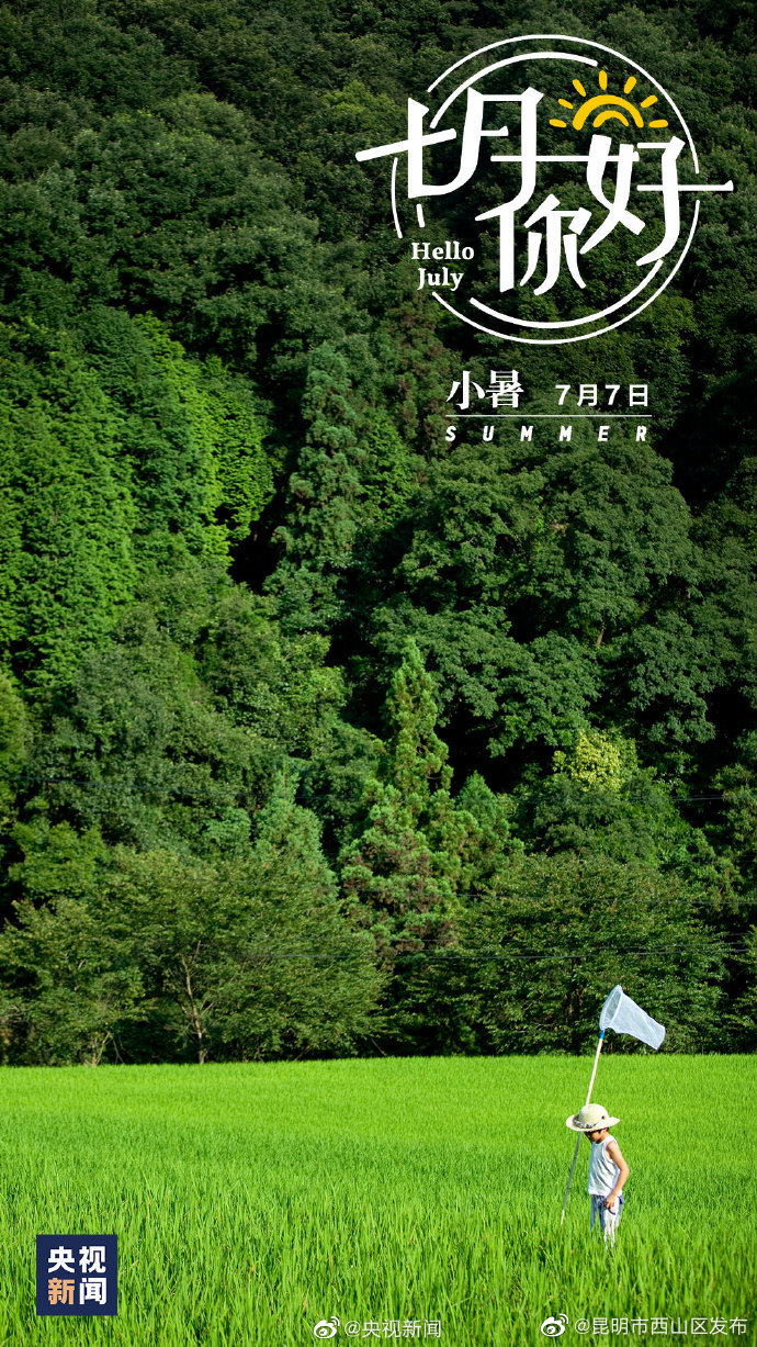 昆明市西山区发布