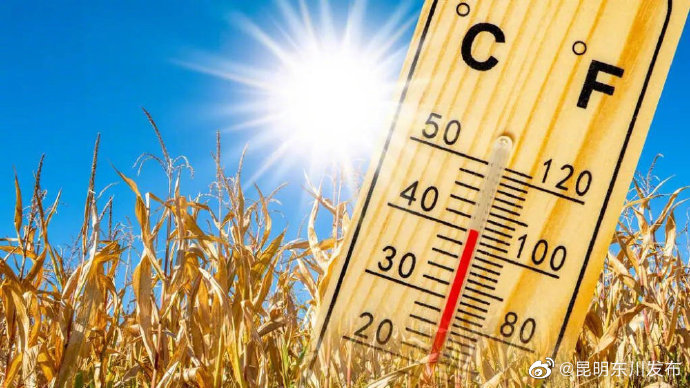 实验结果表明：不戴帽子晒太阳或伤害大脑