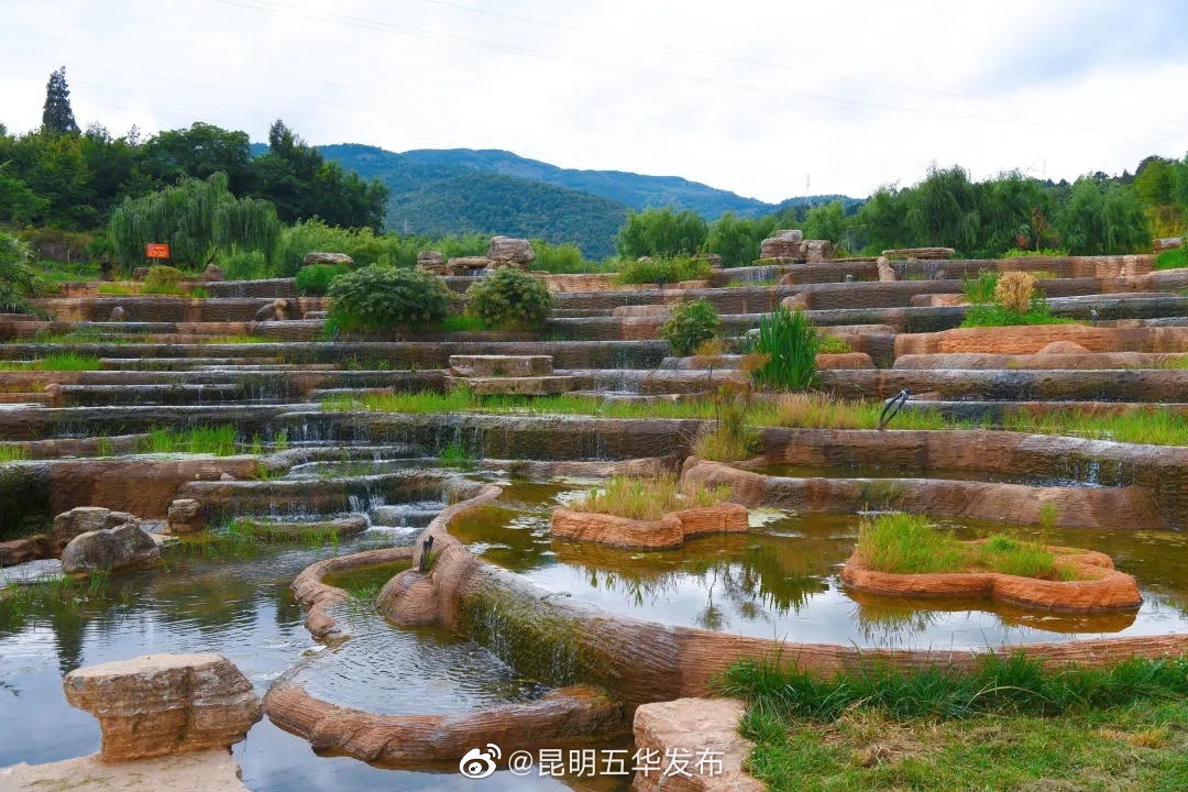 “昆明五华发布”微博