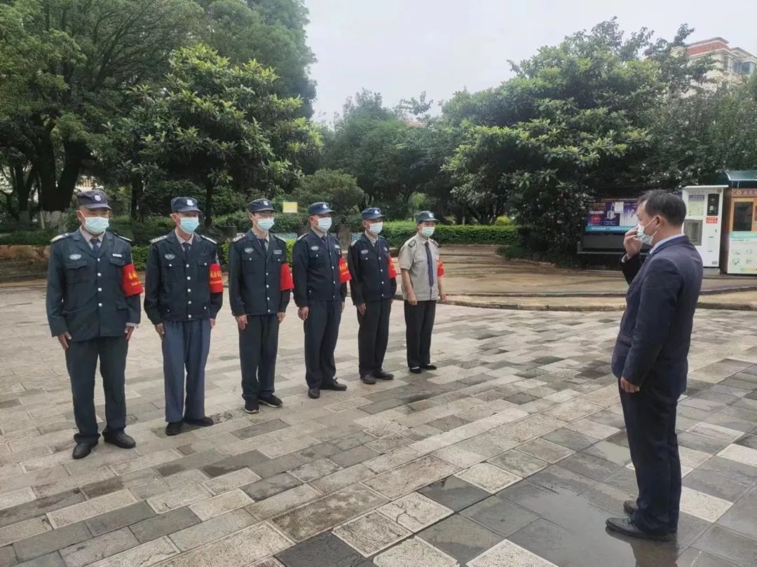 微观盘龙
