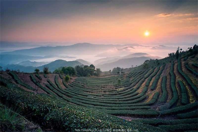 云南省文化和旅游厅