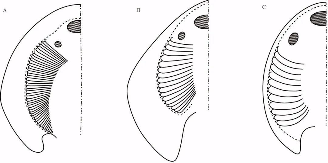 美丽云南微科普