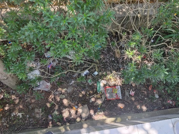 昆明阳宗海风景名胜区(微信)