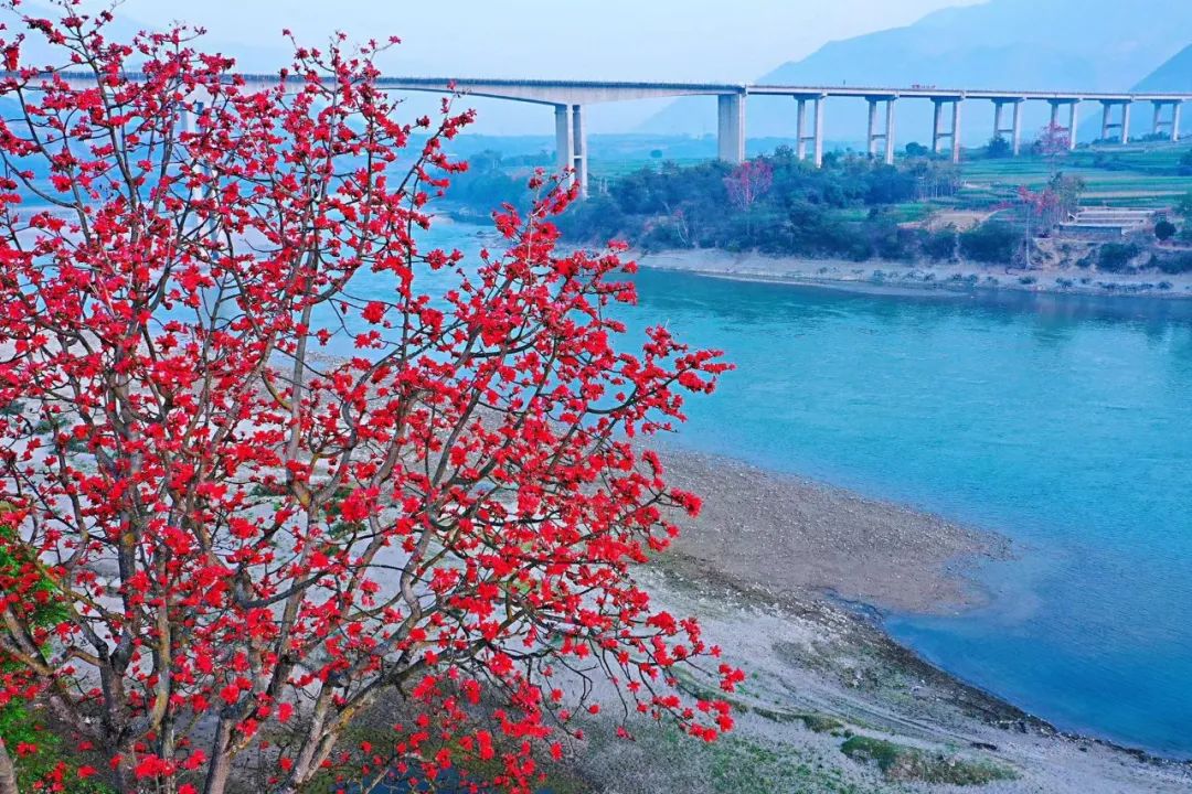 保山新闻网