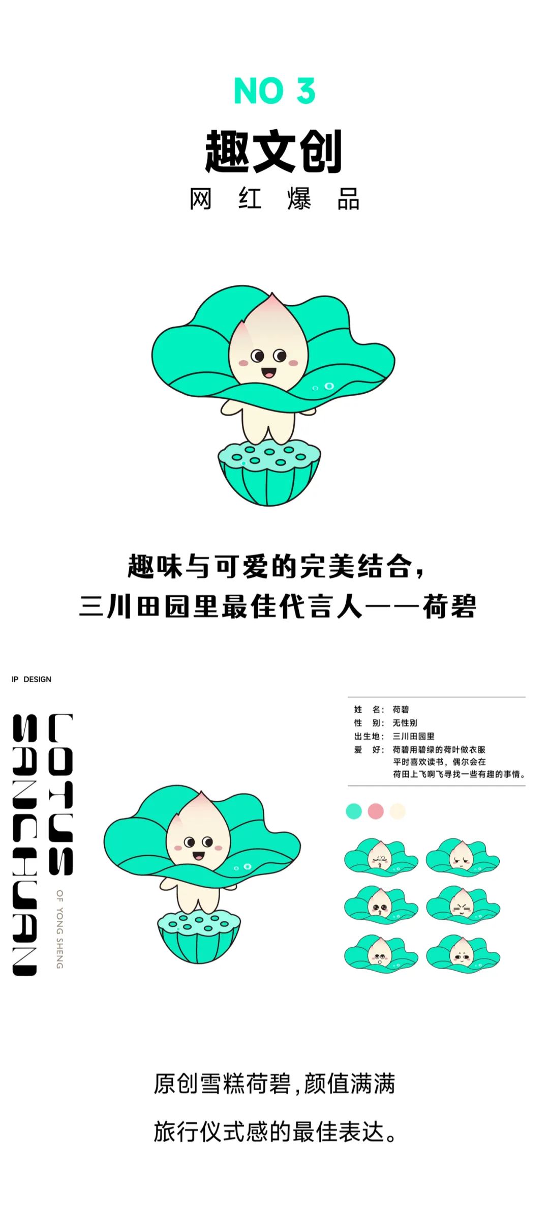 微丽江