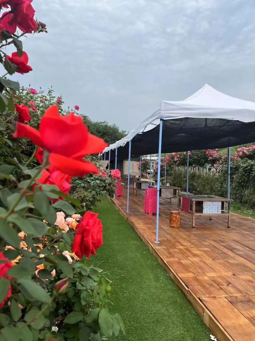 一部手机游云南