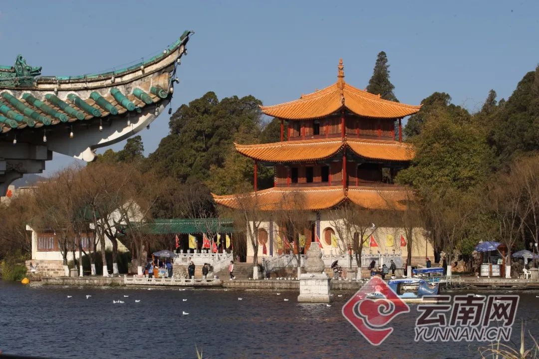 美丽云南微科普