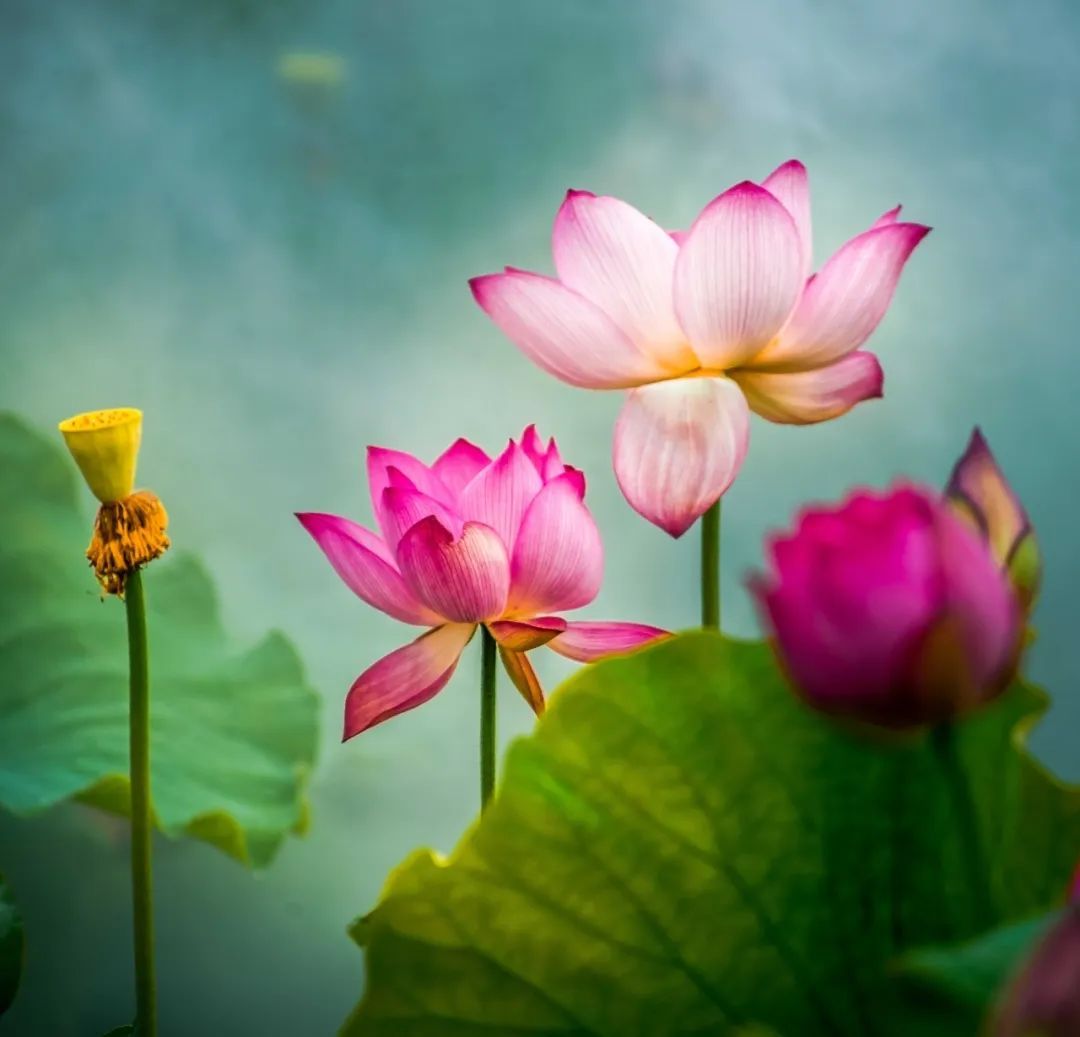 云南省文化和旅游厅