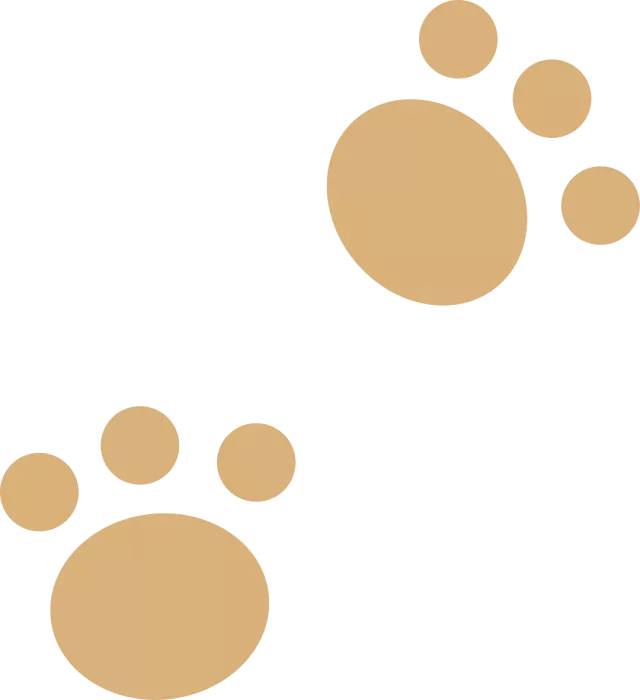 云南野生动物园