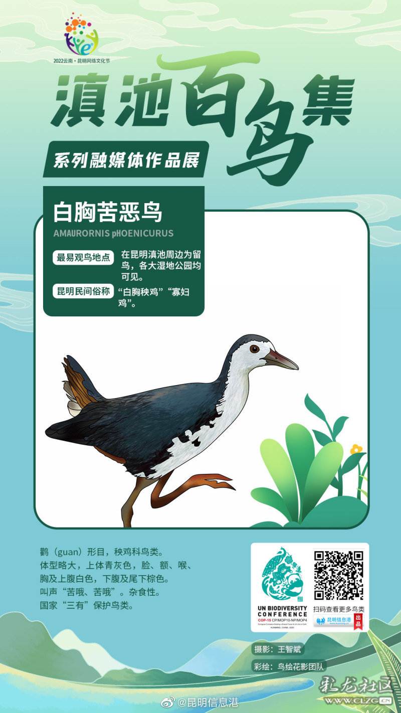 昆明信息港