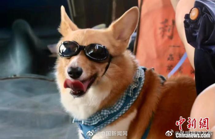 昆明禄劝发布