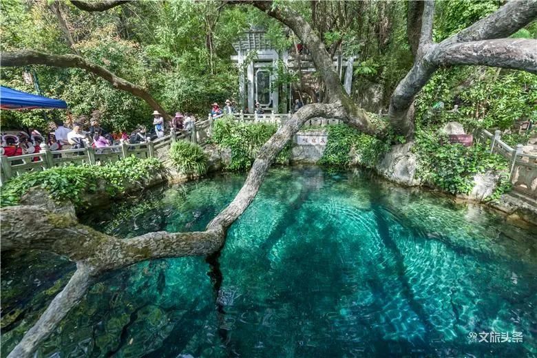 云南省文化和旅游厅