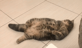 推荐一个有助减少皱纹的睡姿：仰卧