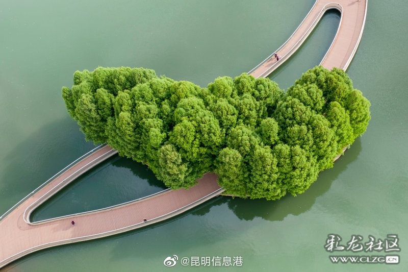 昆明信息港