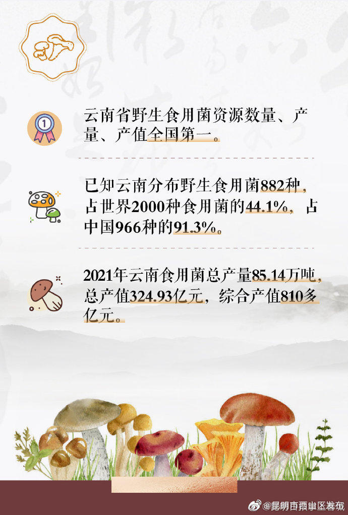 昆明市西山区发布