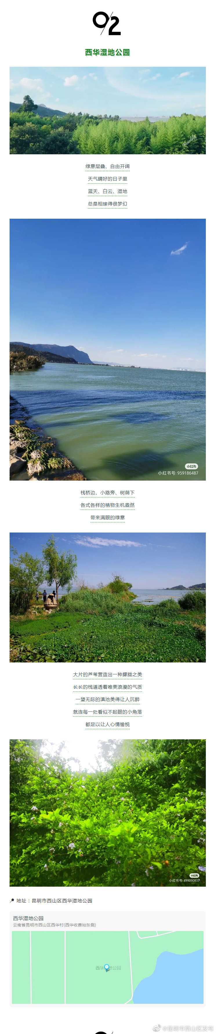 昆明市西山区发布