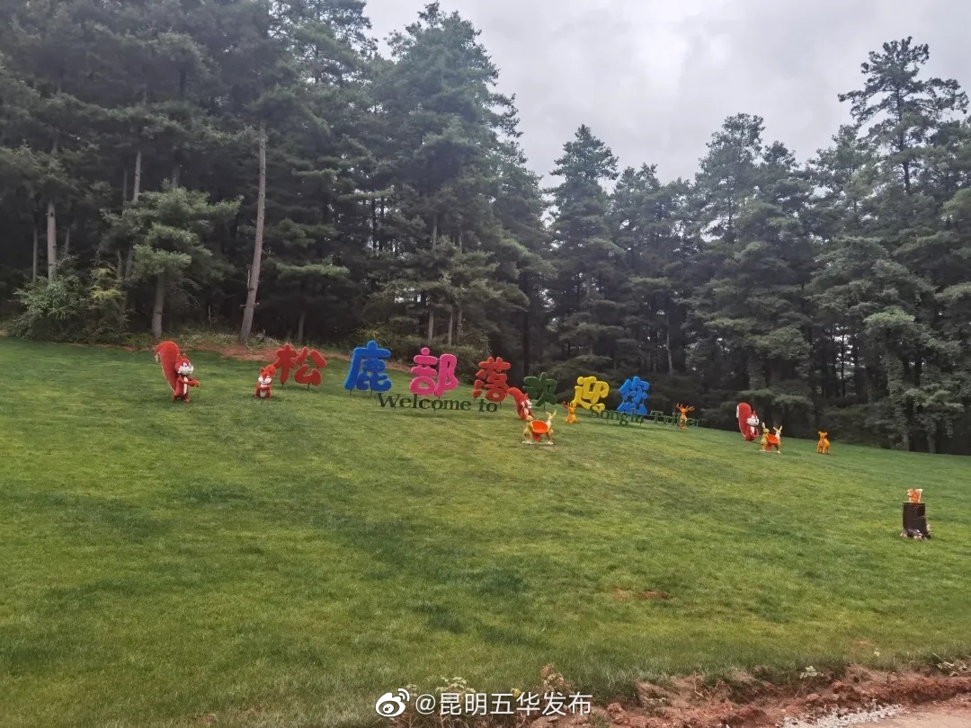 “昆明五华发布”微博