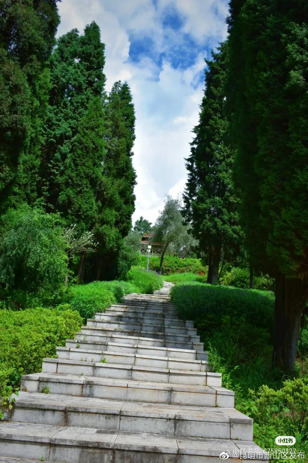 昆明市西山区发布