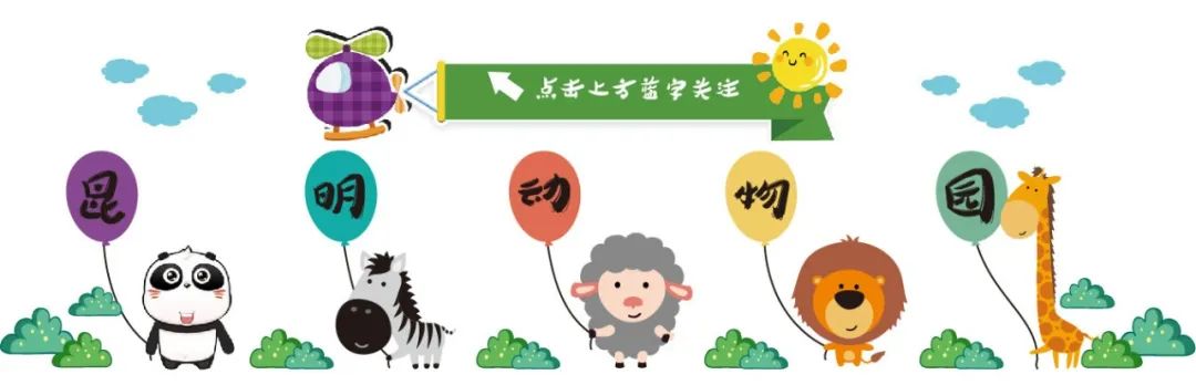 昆明动物园