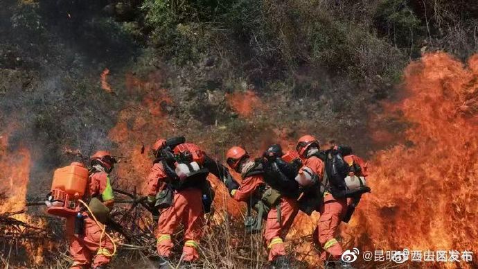 去冬今春云南省森林草原火灾创历史新低