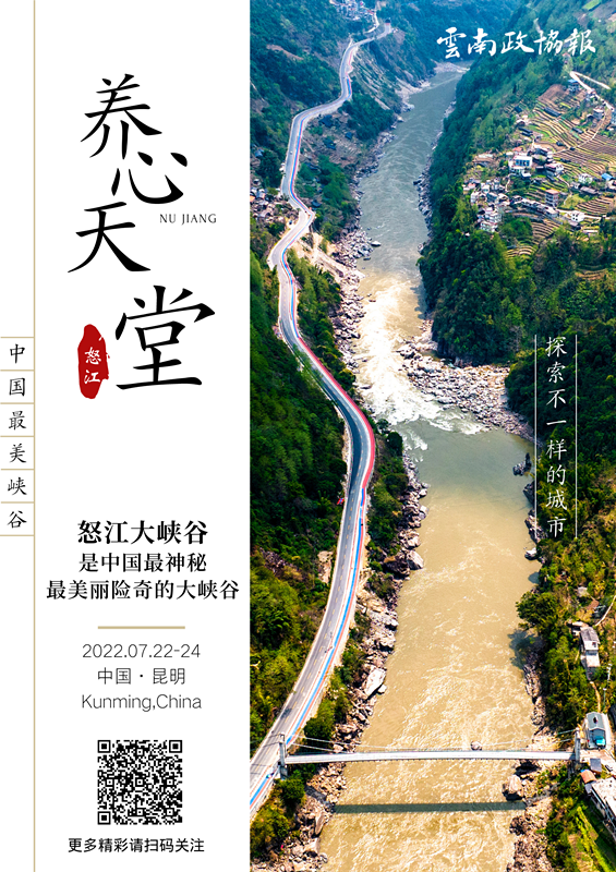 云南政协报