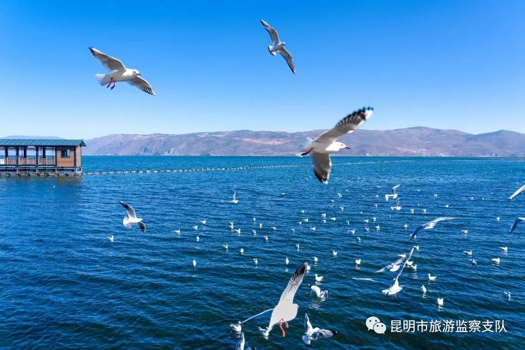 昆明市旅游监察支队