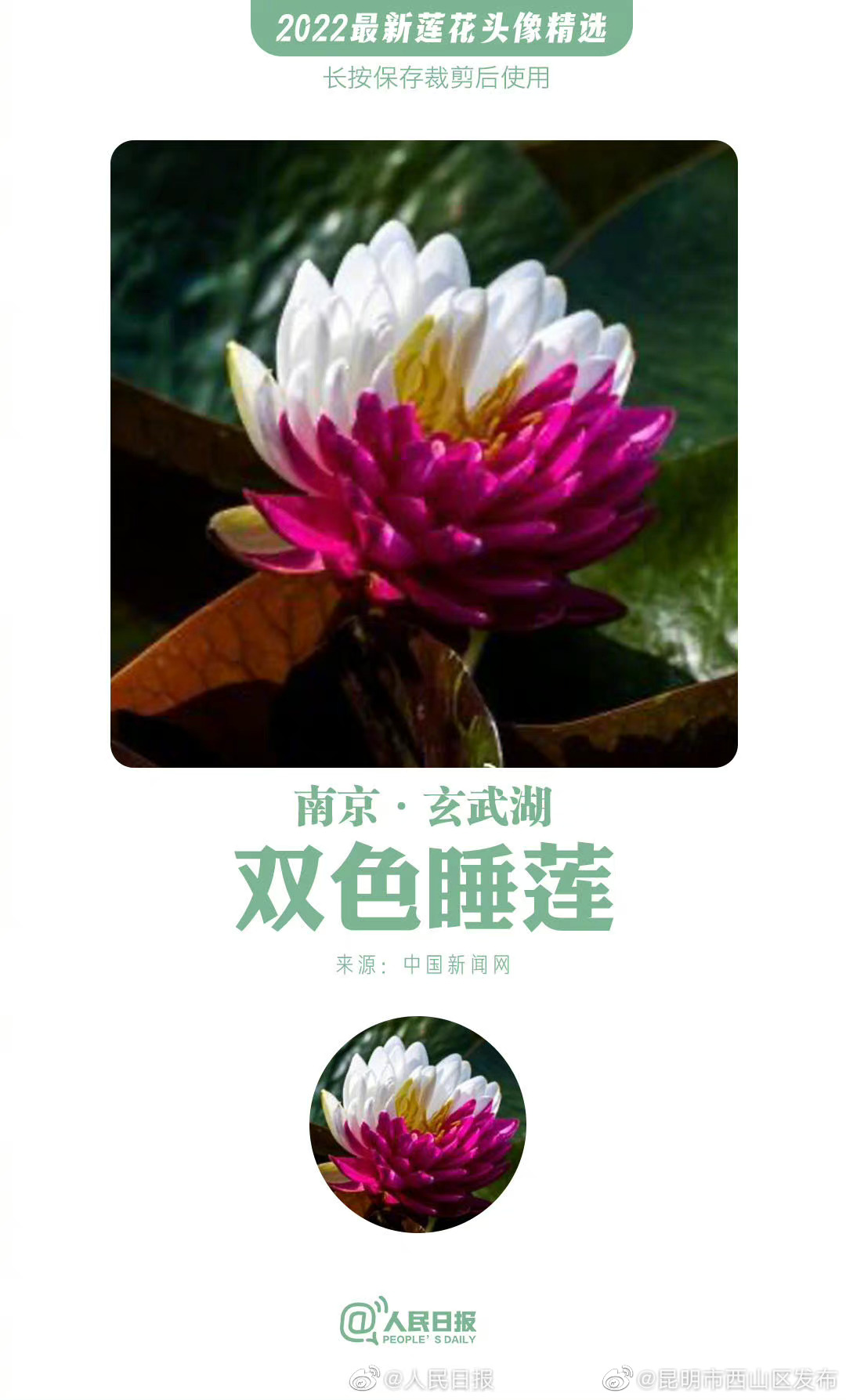 昆明市西山区发布