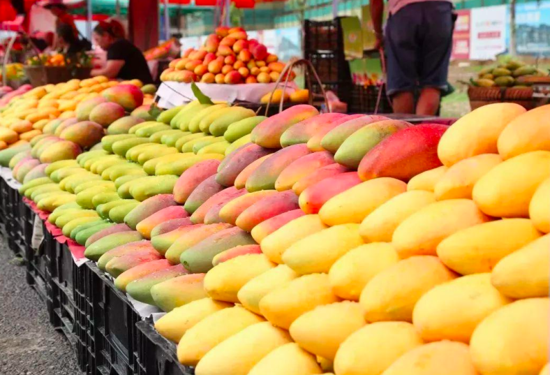 云南省文化和旅游厅