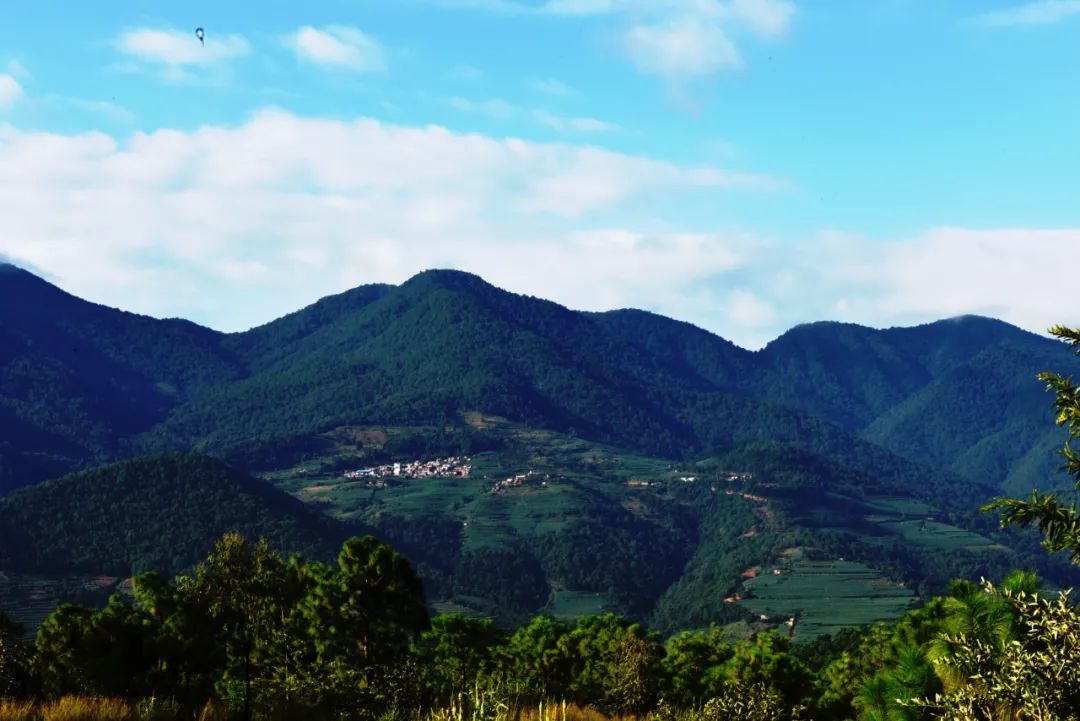 云南省文化和旅游厅