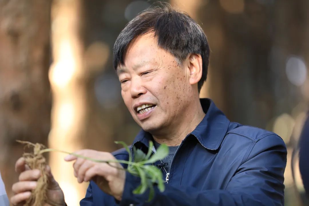 昆明信息港/cnkmxxg