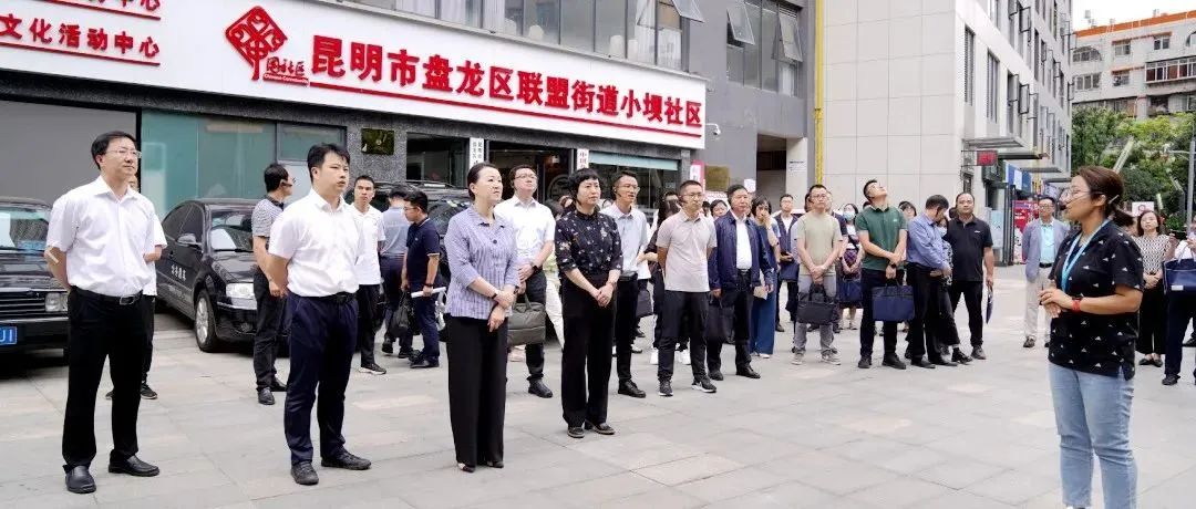 微观盘龙